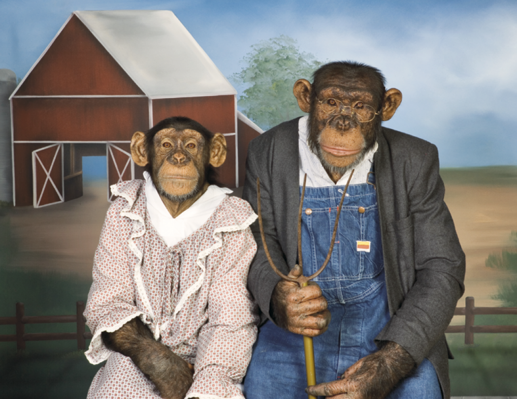 Triumph® Calendars Monkey Business Calendar 19