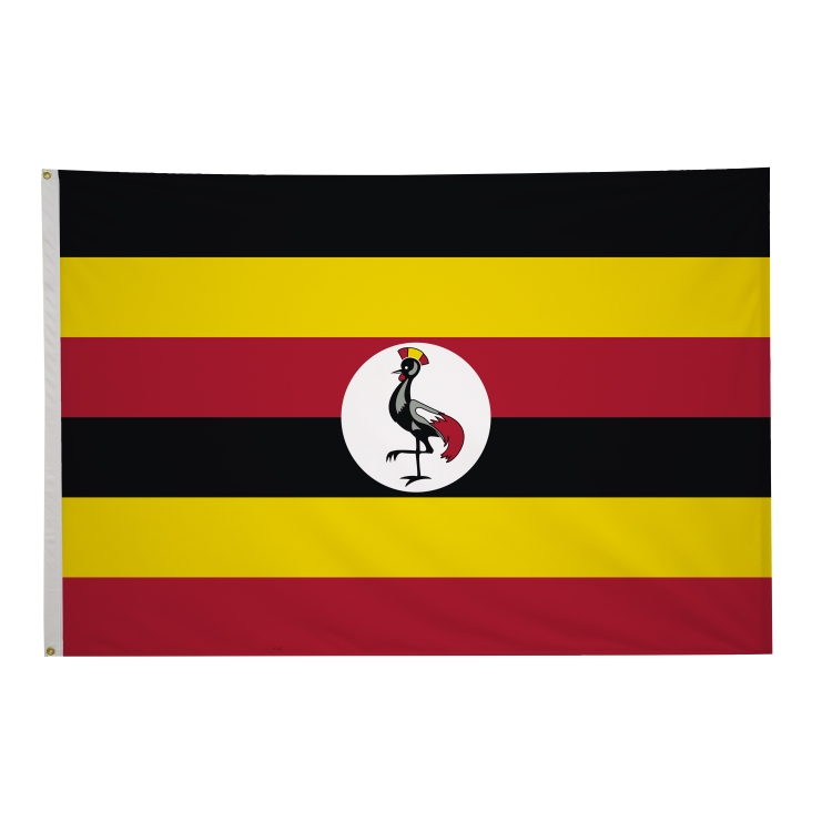 4' x 6' International Flags 304