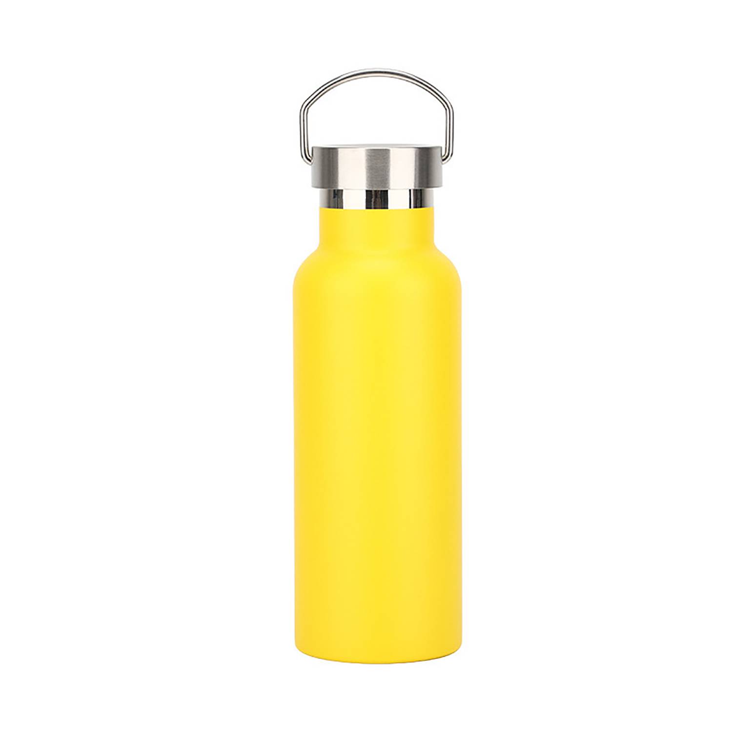 20oz Stainless Steel Insulated Water Bottle w/ Handle 13