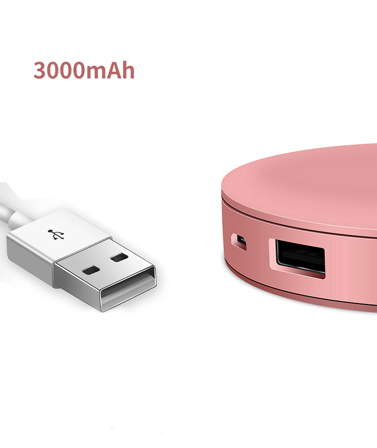 Powerbank LED Mirror with 3x Magnification 9