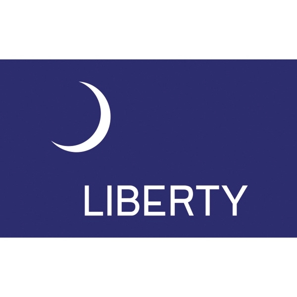 Special Historical Flags - Fort Moultrie 1