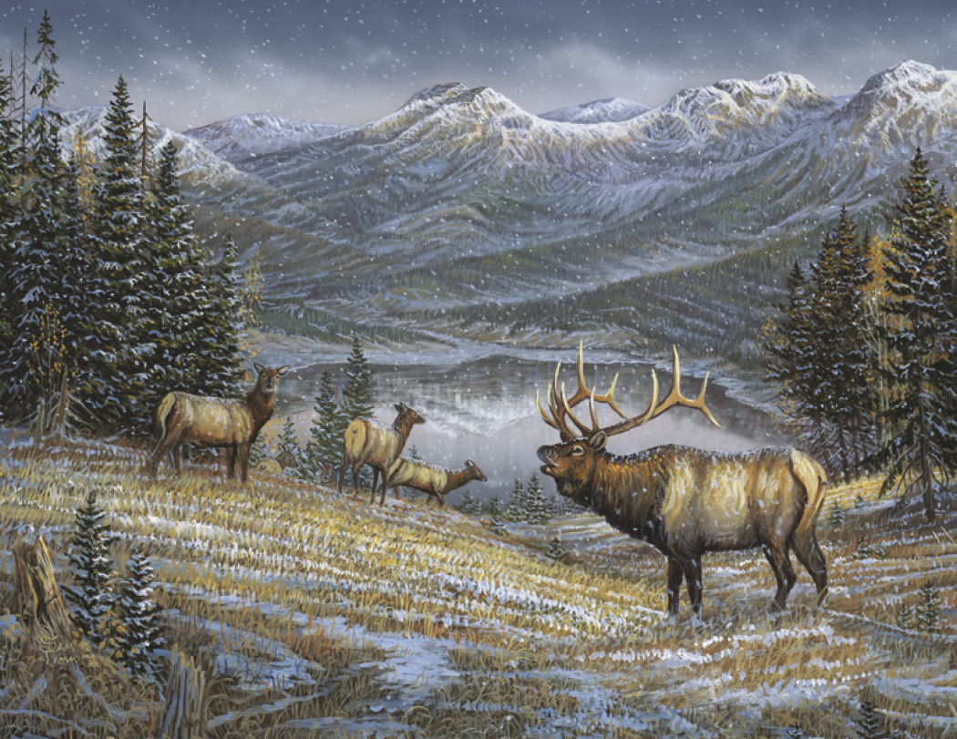 HotLine® Products Wildlife Collection Appointment Calendar - Stapled 19