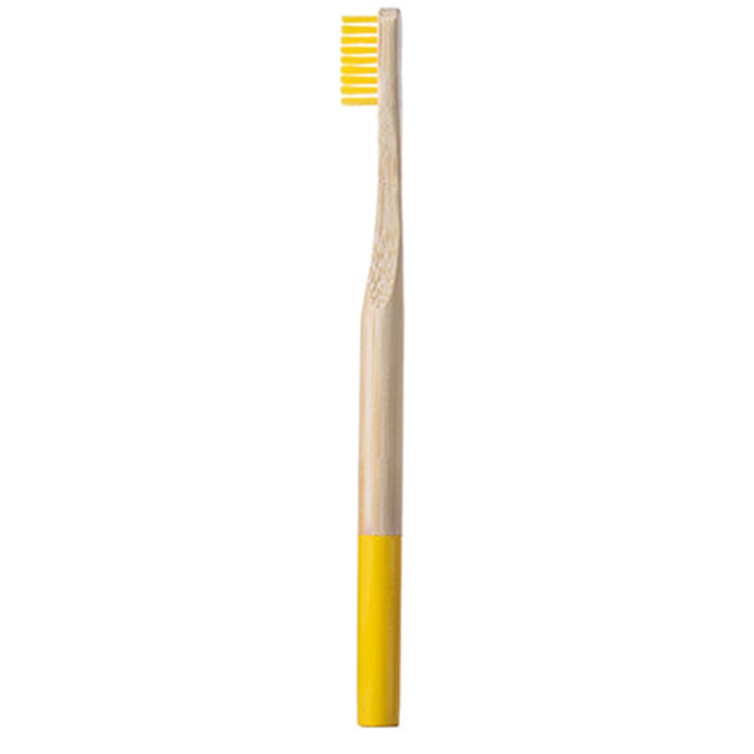 Round Toothbrushes 15