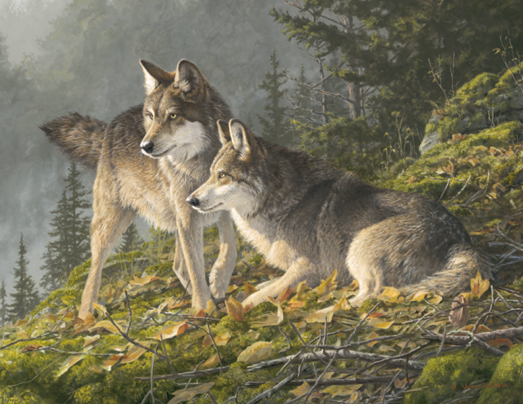 Triumph® Calendars Wildlife Art by the Hautman Brothers Calendar 33
