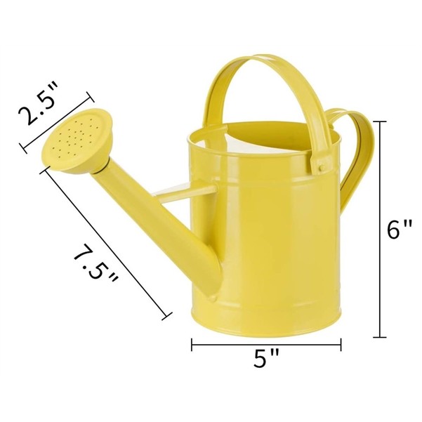 50Oz metal watering cans 2