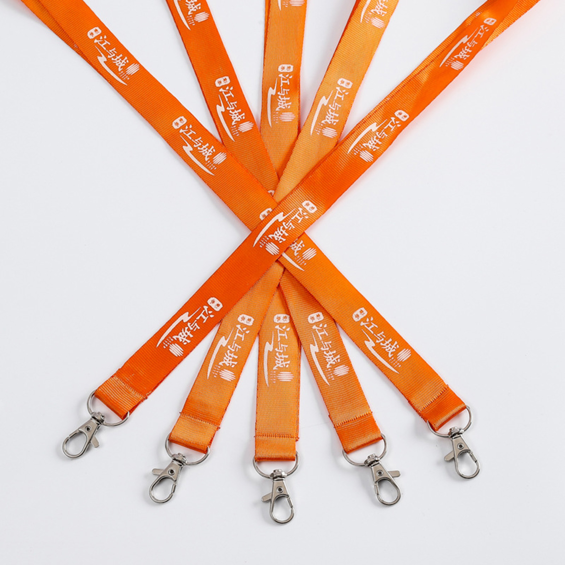 Lanyard With Clip 2