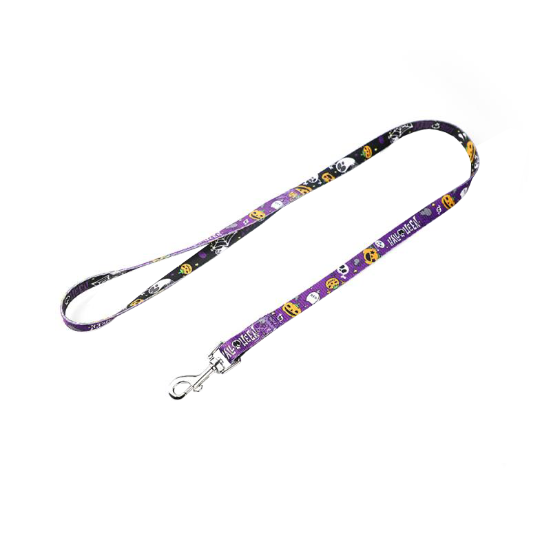 Adjustable Polyester Pet Leash with Metal Hook - Small 3