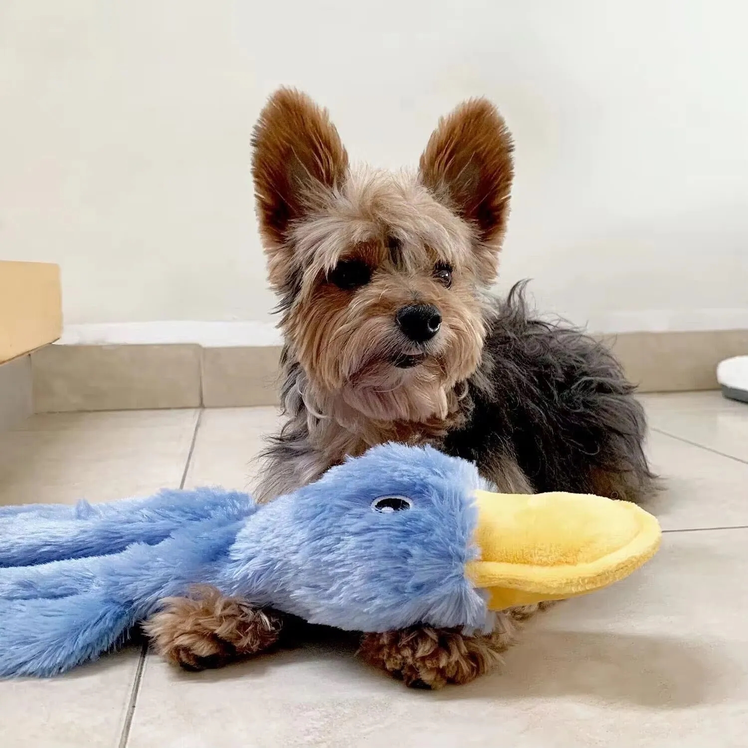 Soft And Durable Dog Chew Toy 1