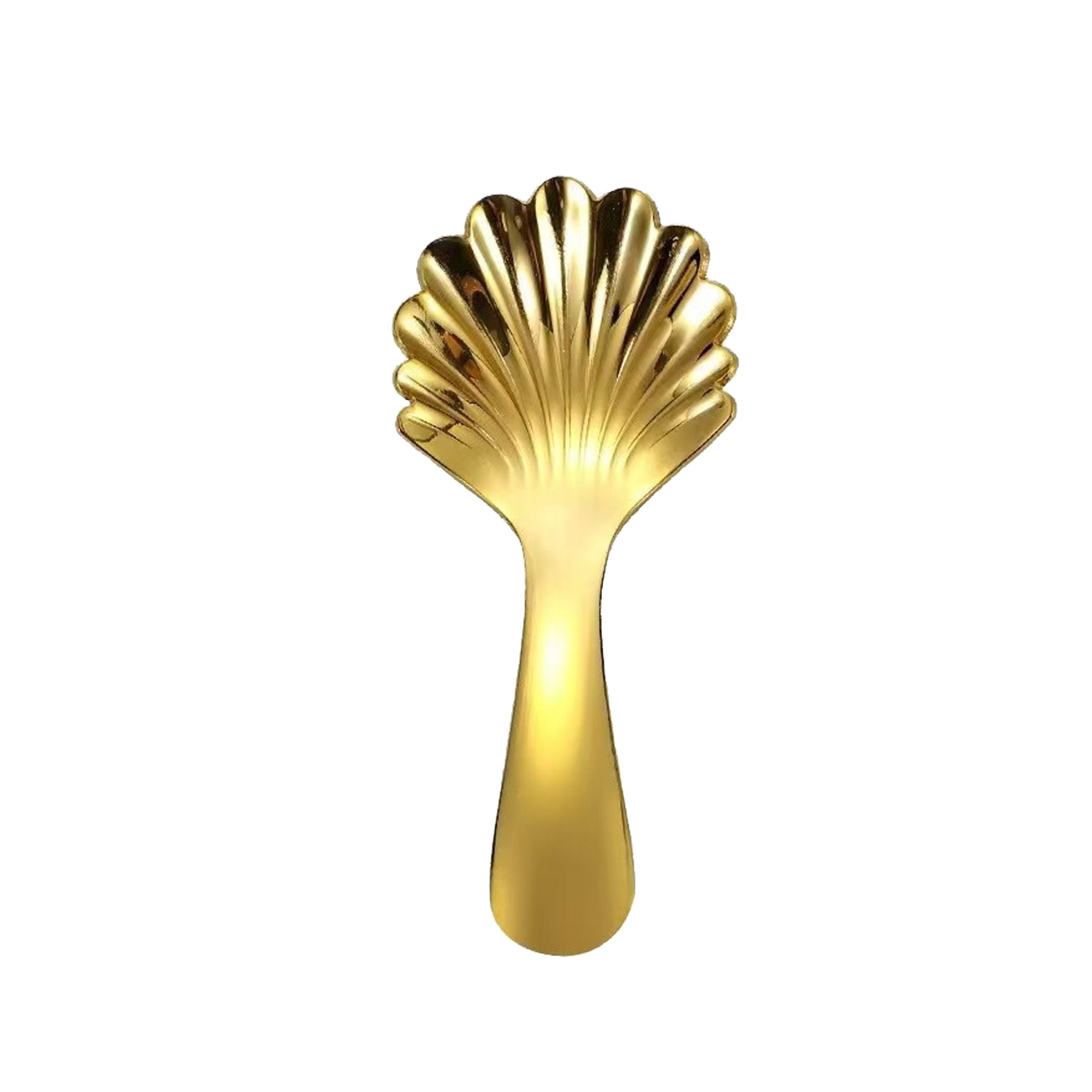 Rainbow Shell Short Handled Shell Spoon 3