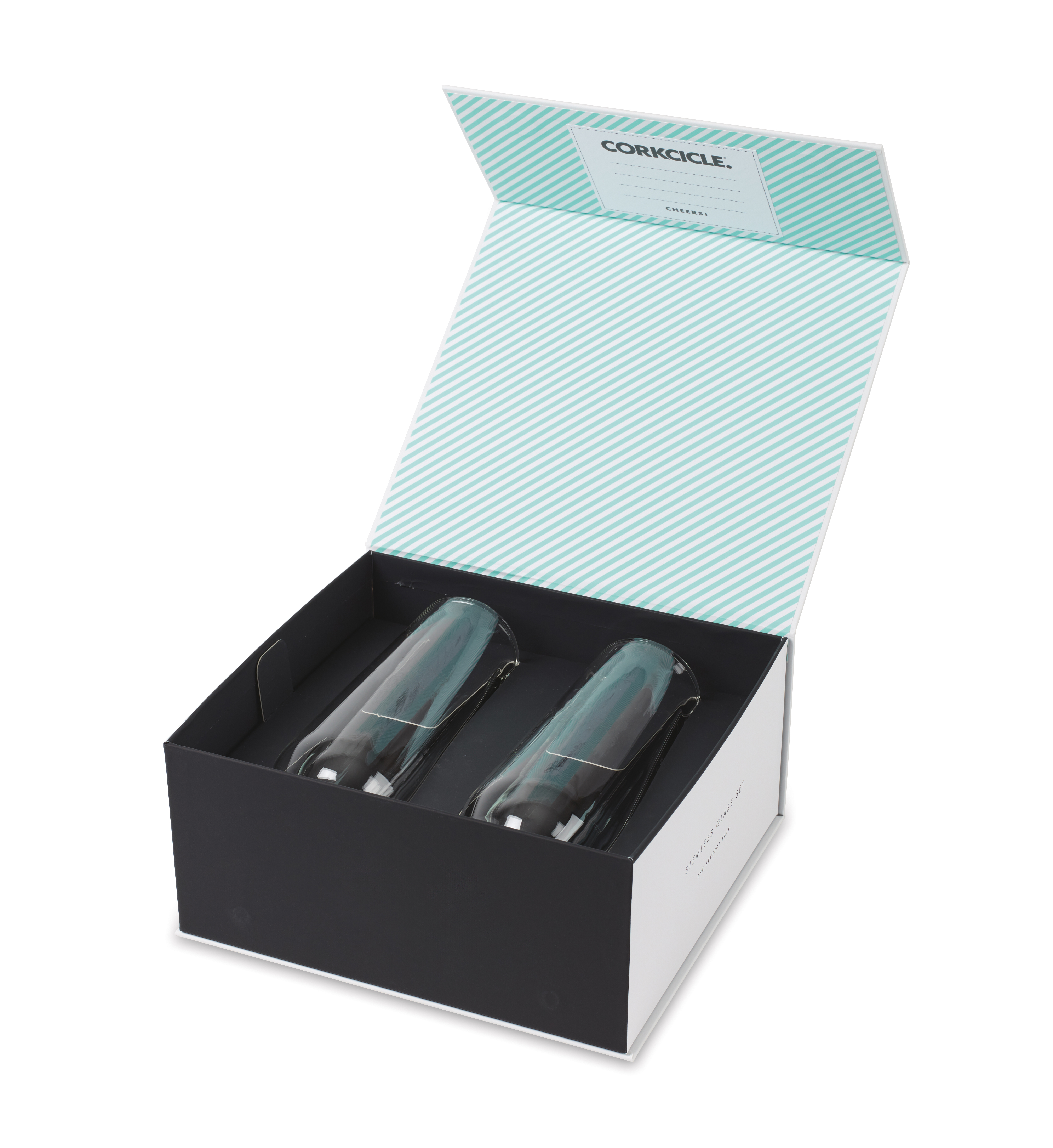 CORKCICLE® Flute Glass Set (2) 9