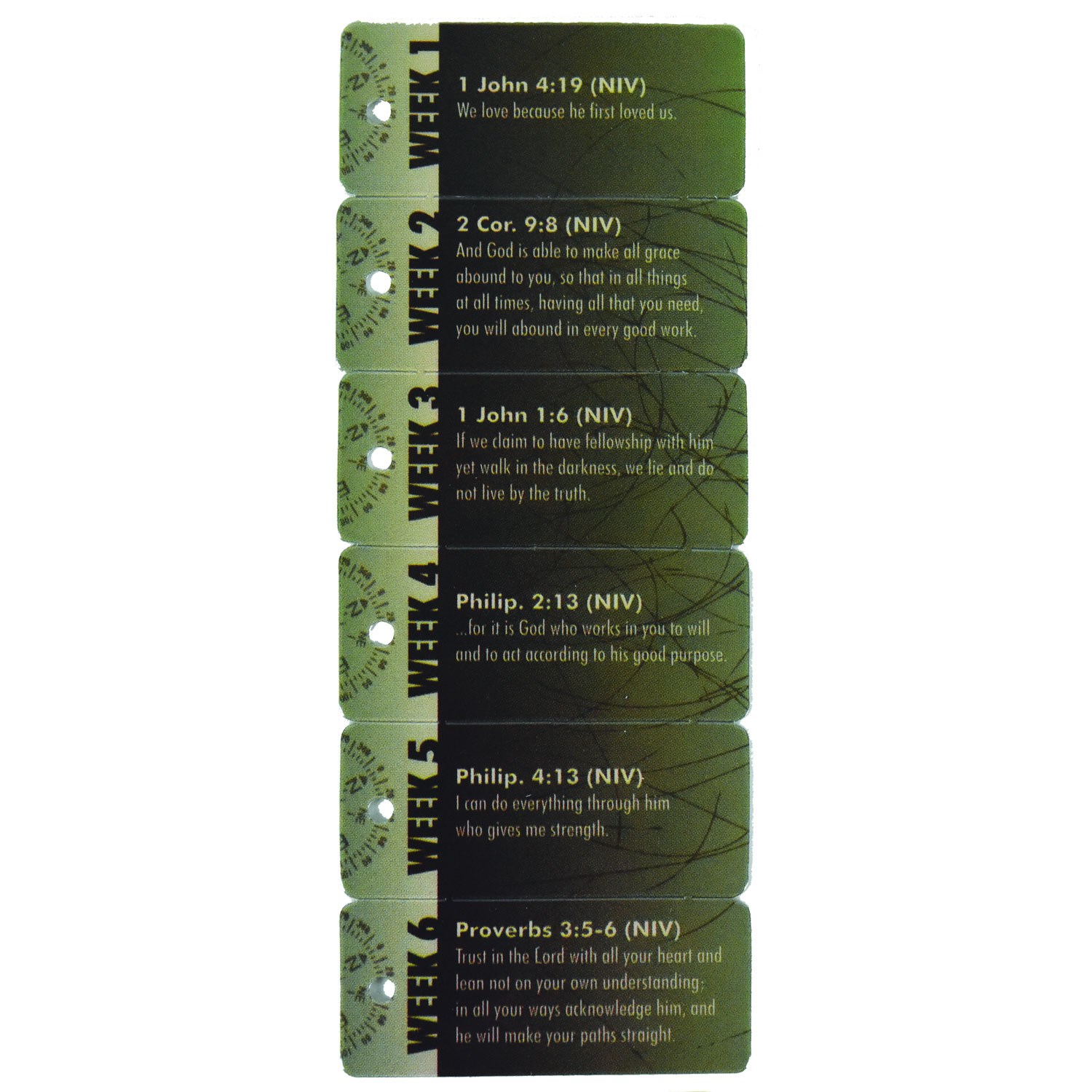 1 1/8"W x 2 5/8"H Set of 6 Key Tags 1