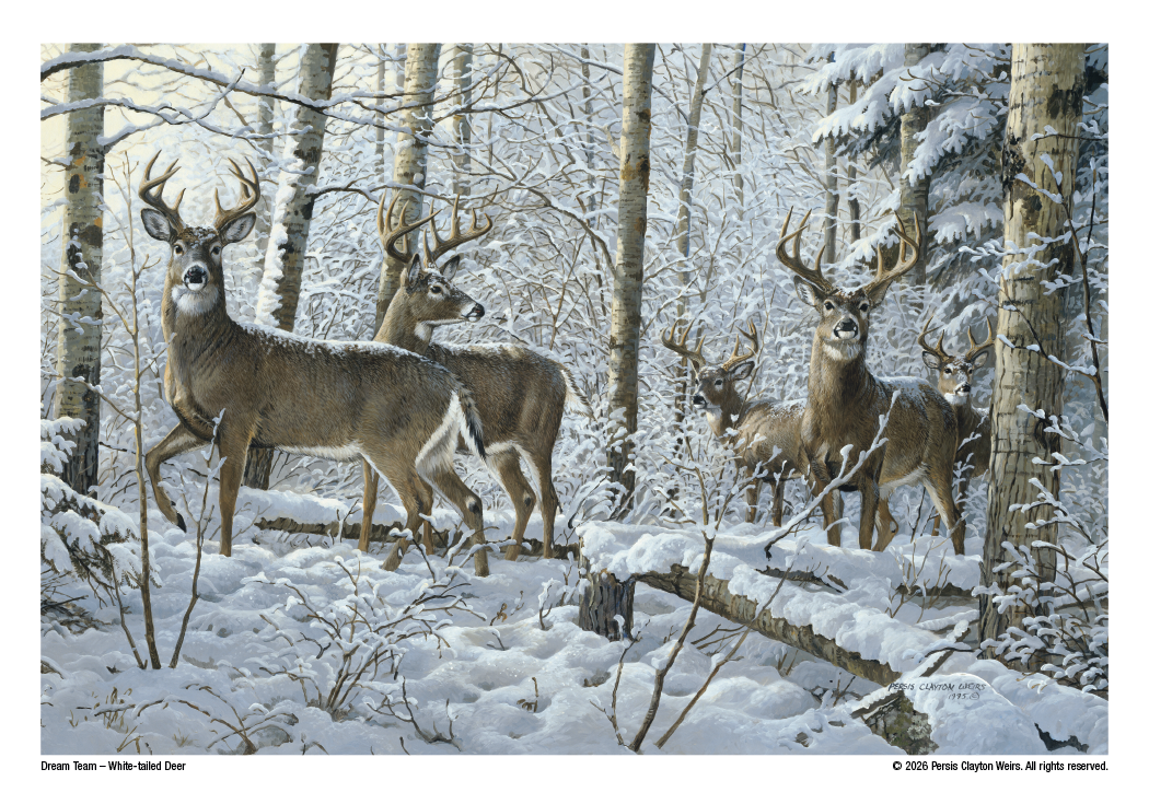 Triumph® Calendars Wildlife Art Calendar 15
