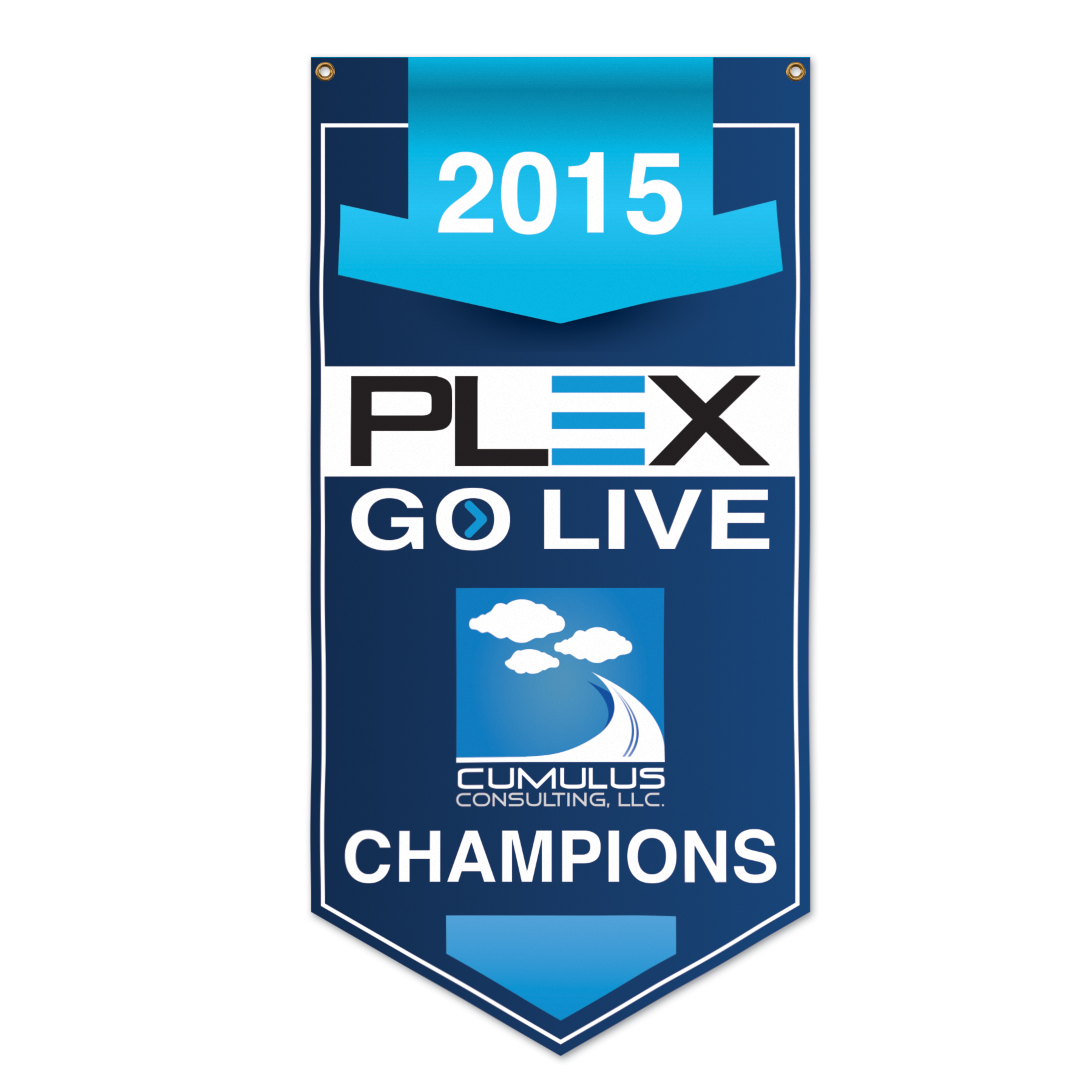 2' x 4' Championship Banner 1