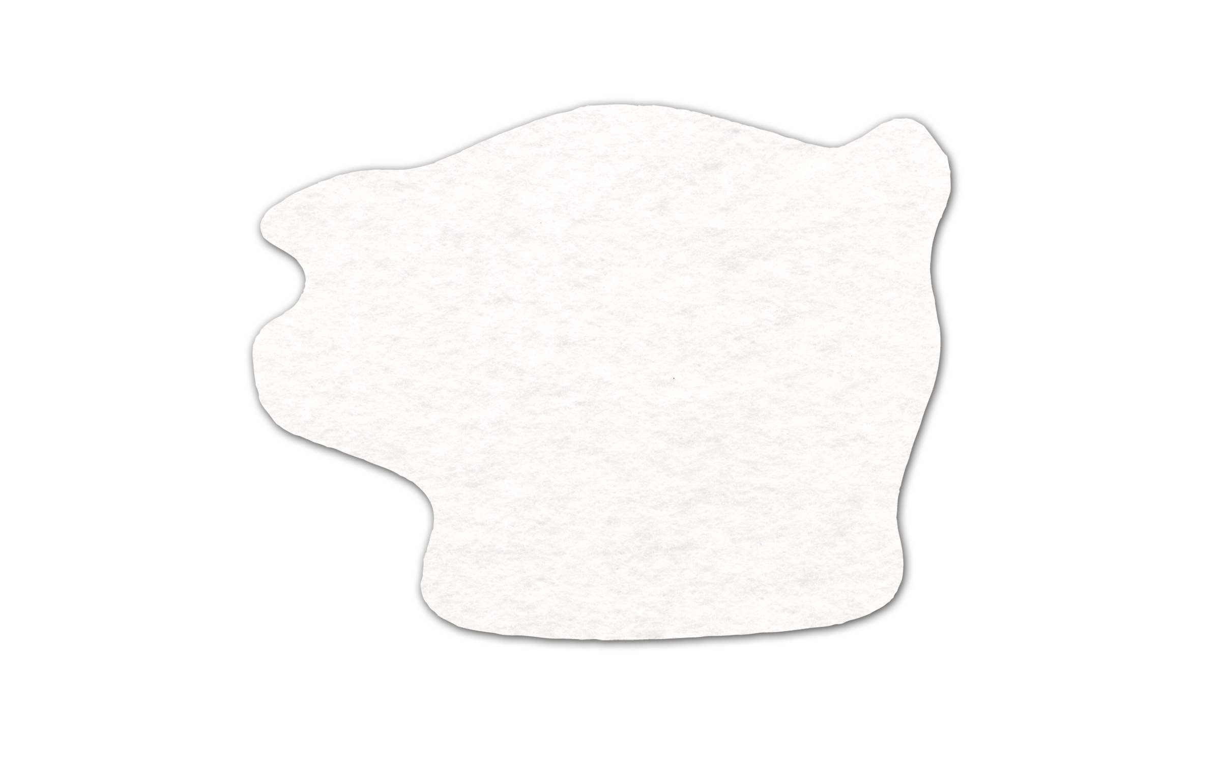 Piggy Bank Shammy Coaster 6
