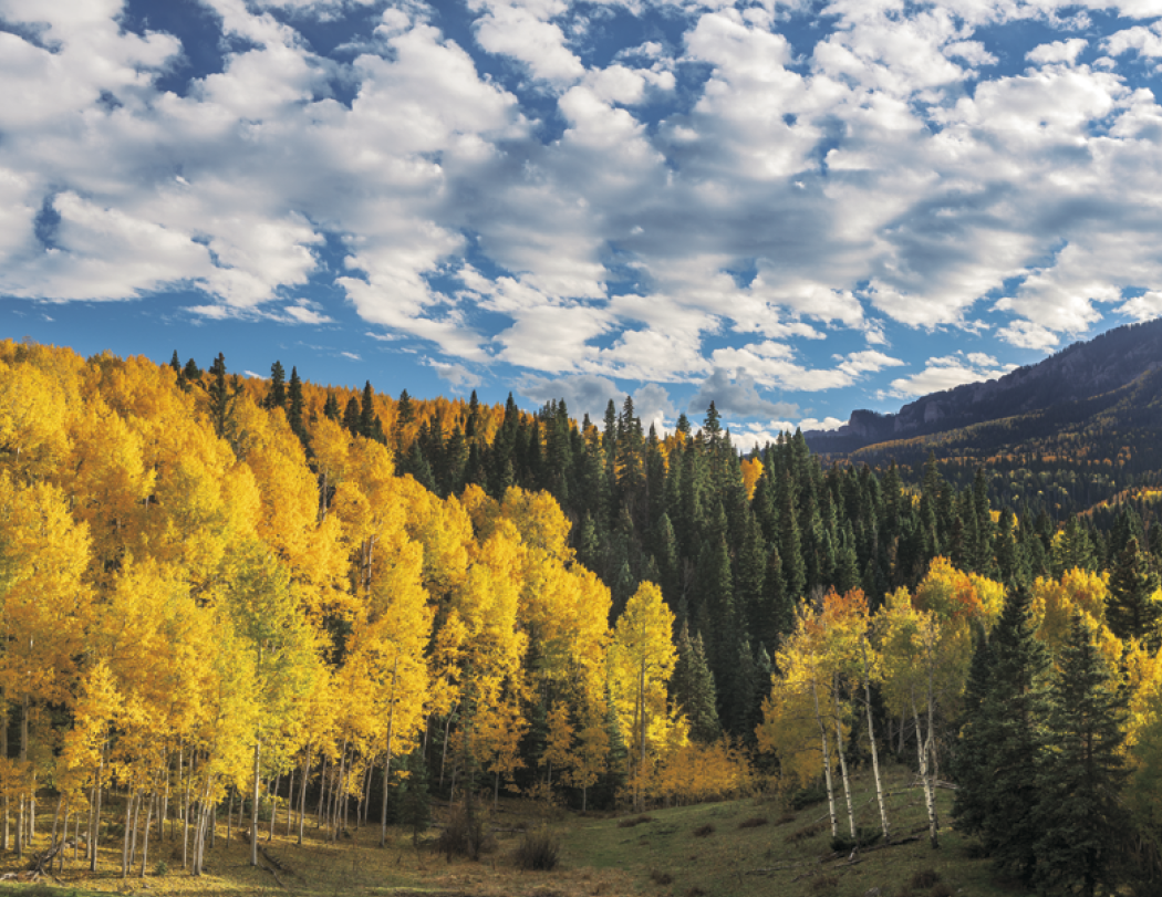 HotLine® Products Catholic Reflections Appointment Calendar - Stapled 9