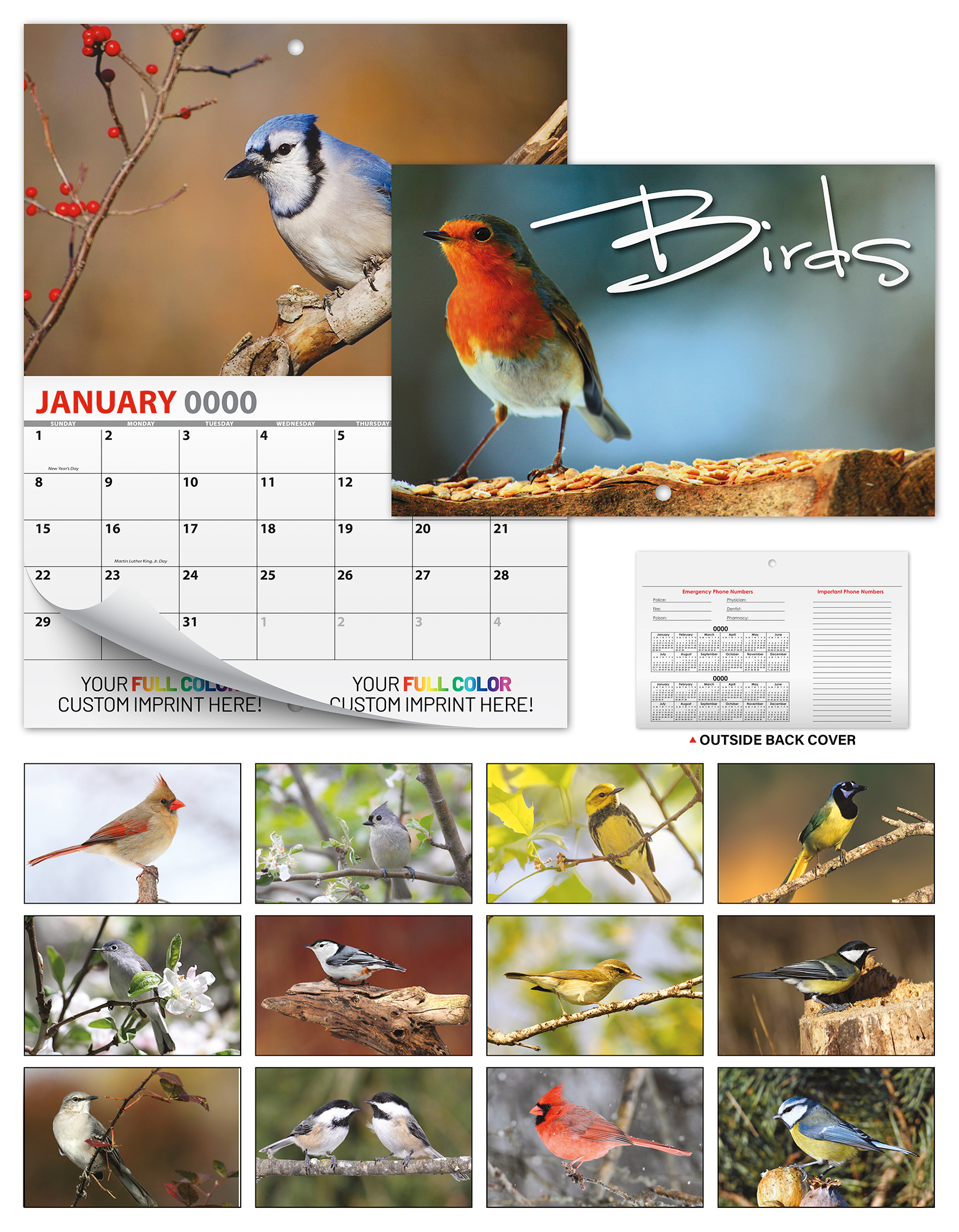 13 Month Mini Custom Photo Appointment Wall Calendar - BIRDS 3