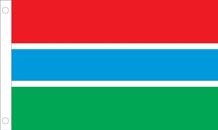 Gambia Flag - 2' x 3' - Nylon 2