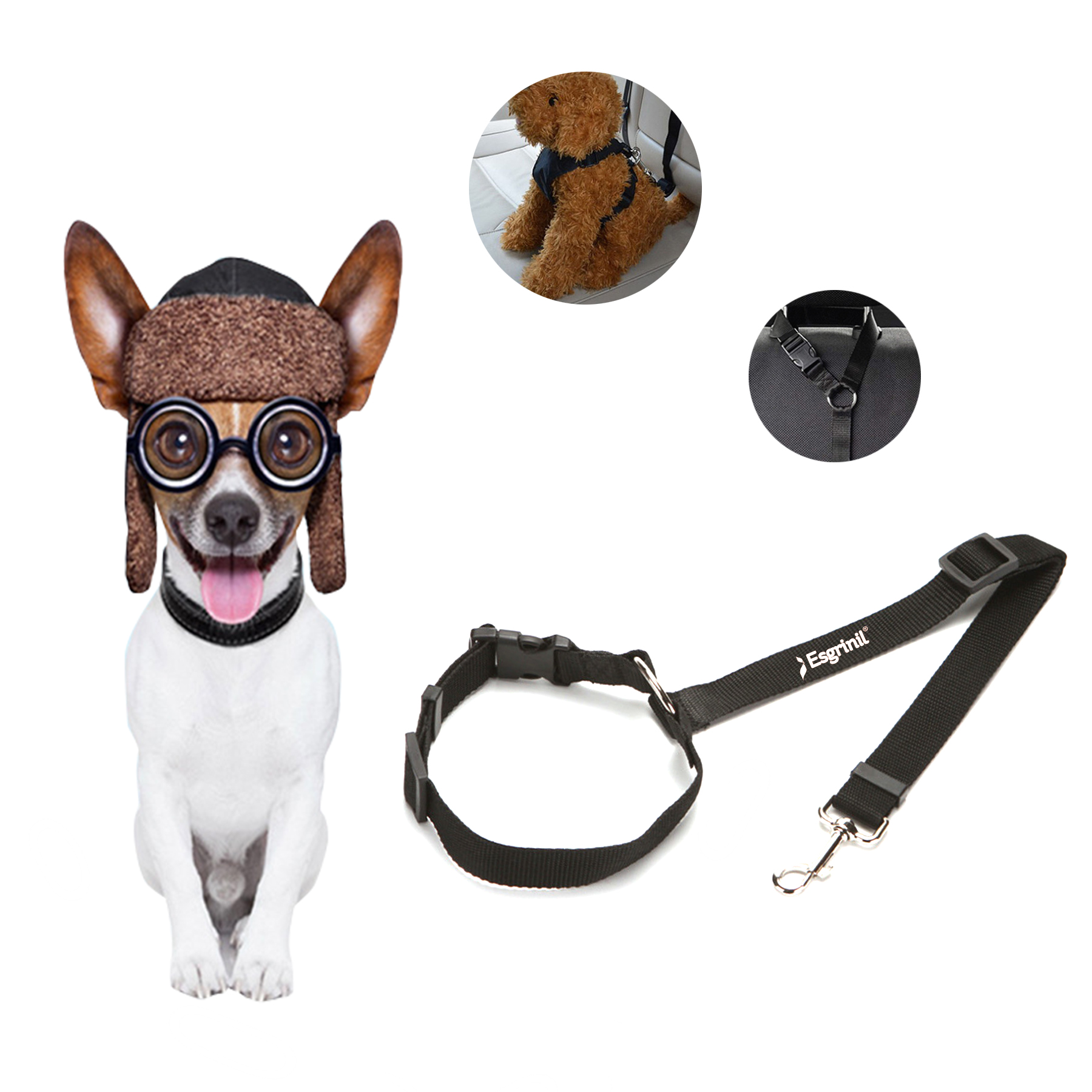 Pet Safety Belt Leash 1