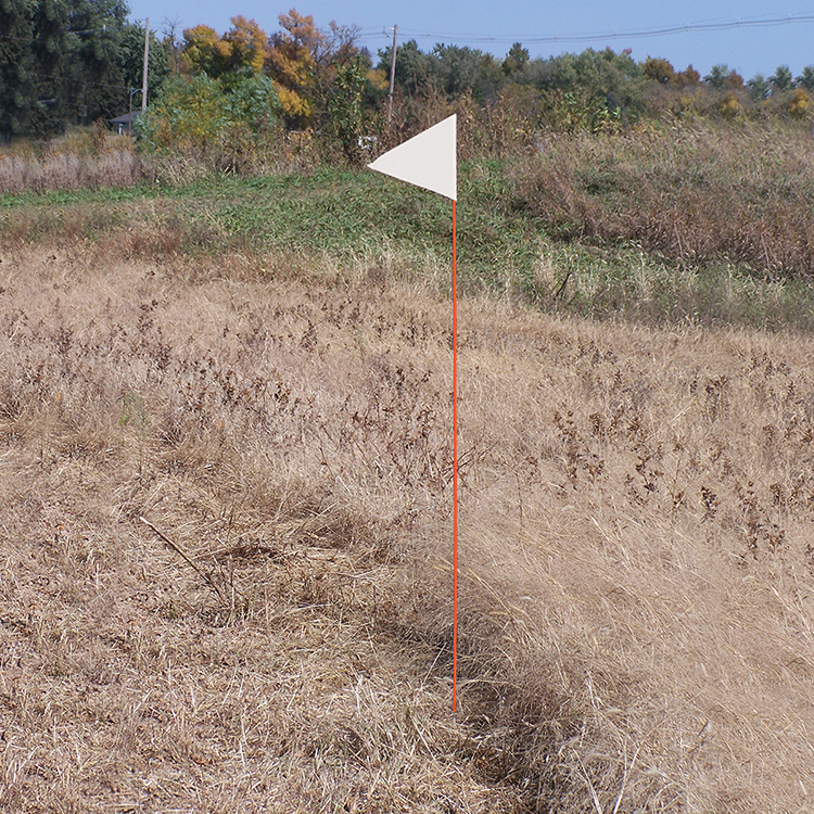 Solid Color White Pennant Field Flag w/Orange Staff 3