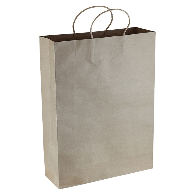Paper Kraft Shopping Bag 3