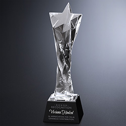Twisted Star Award 12