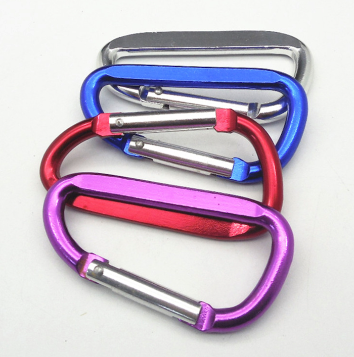Carabiner Key Chain 1