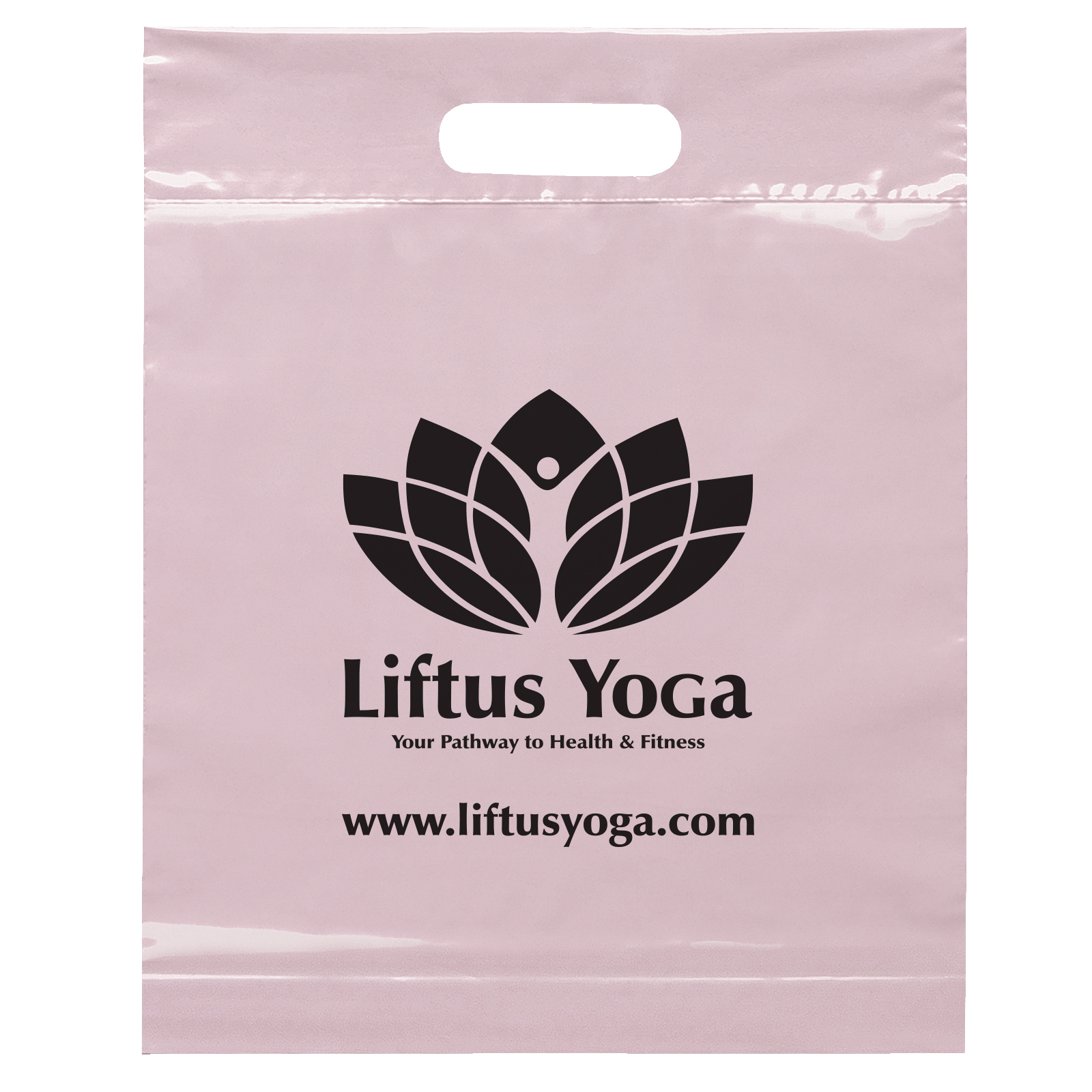 Die Cut Handle Bag - 12W x 15H x 3 - Flexo Ink Print 12