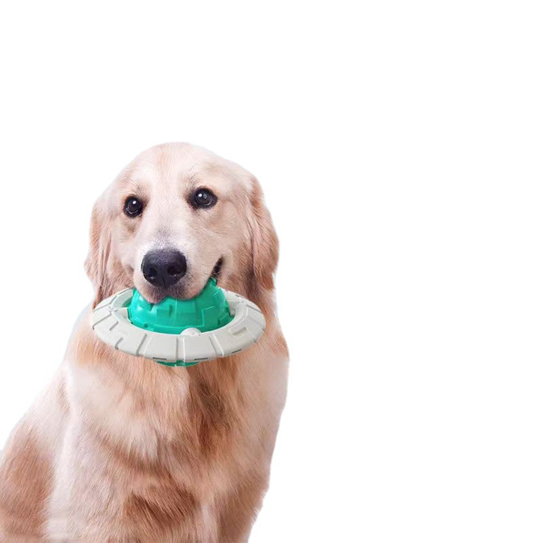 UFO Shape Chewers Dog Toy 3