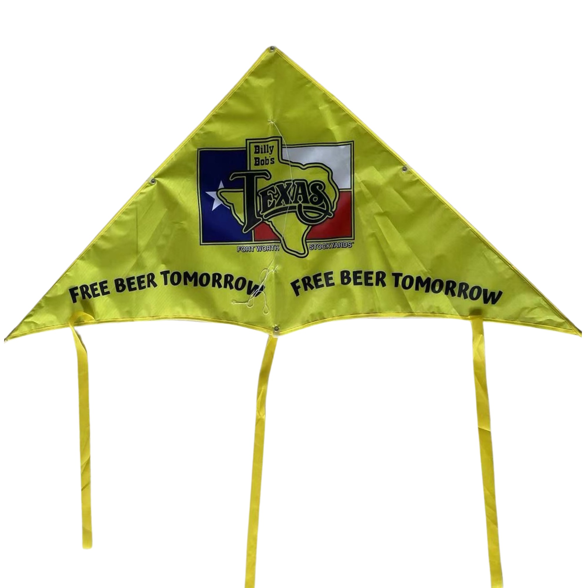XL Delta Jumbo Kite - 40" X 20" 12