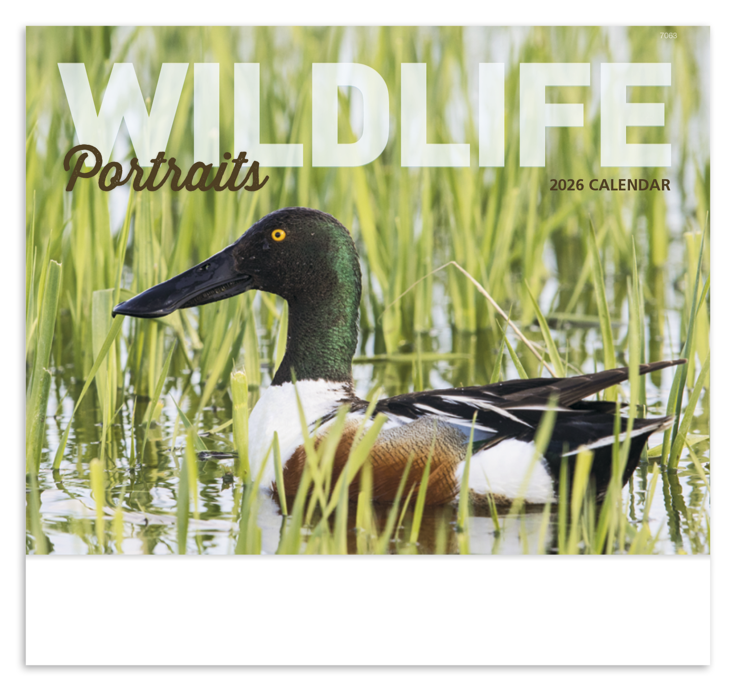 Good Value™ Wildlife Portraits - Stapled Calendar 9