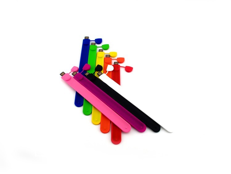 2GB Wristband 300 Series-GS 2