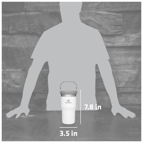 Stanley IceFlow™ 2.0 Flip Straw Tumbler 20oz 54
