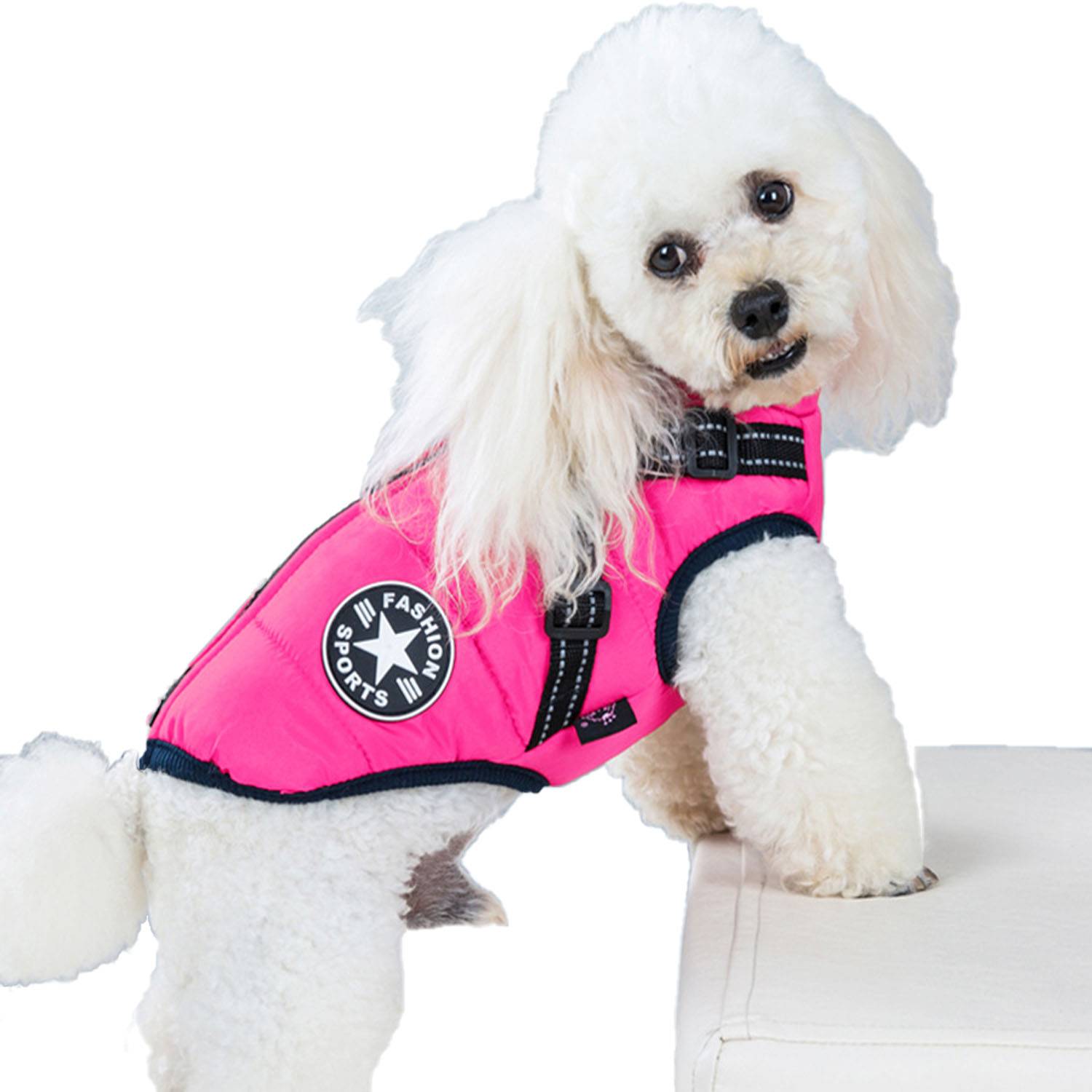 Cotton-Padded Dog Vest 11