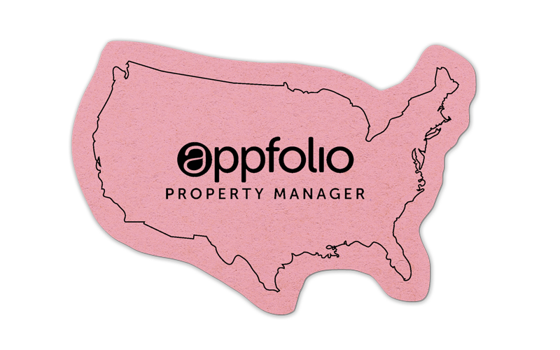 United States Compressed Sponge 3