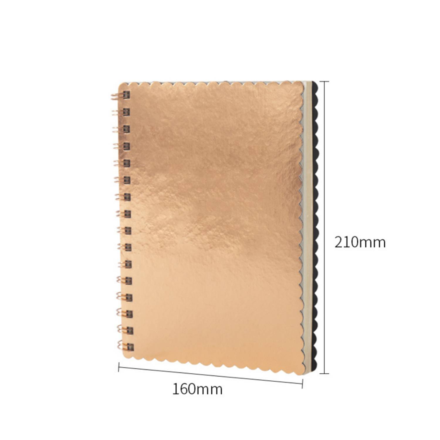 Metallic Notebook 5