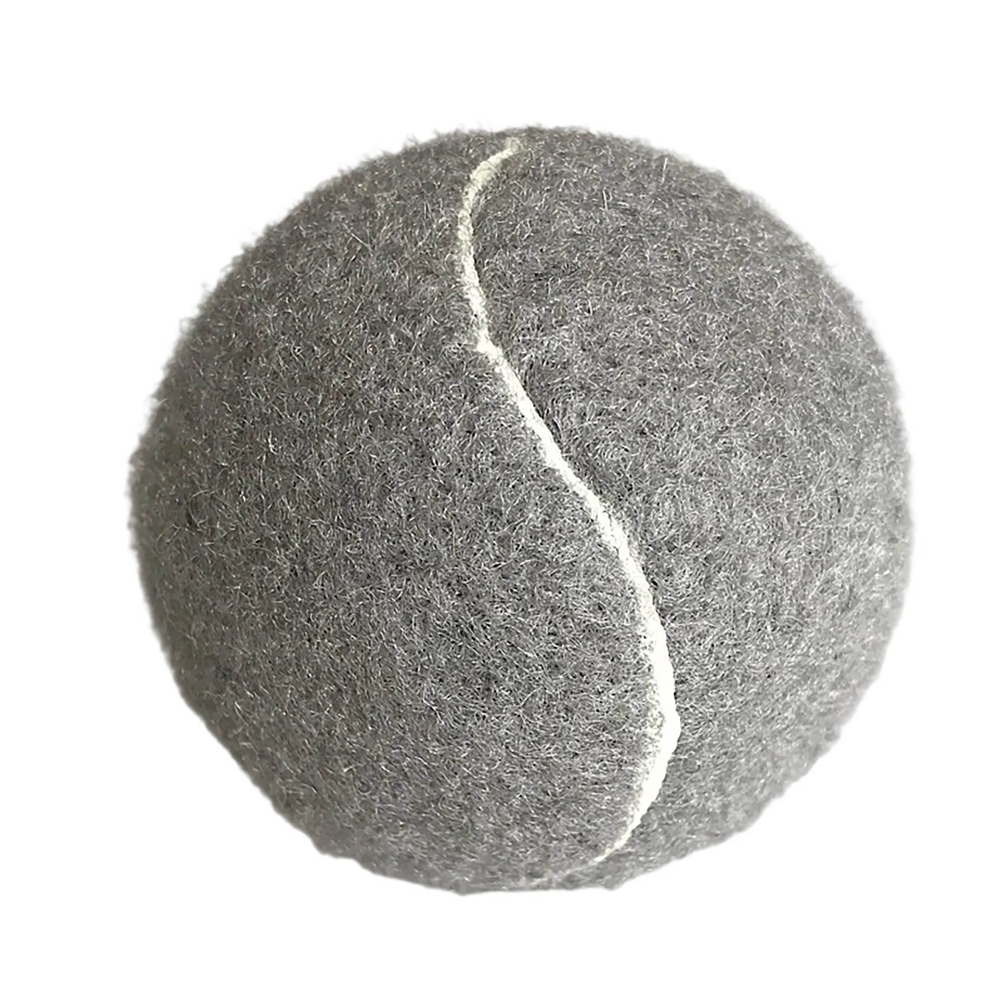 Dog Training Ball 11