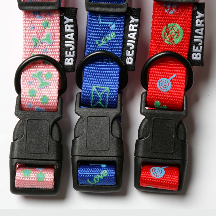 Dog and Pet Collar 8
