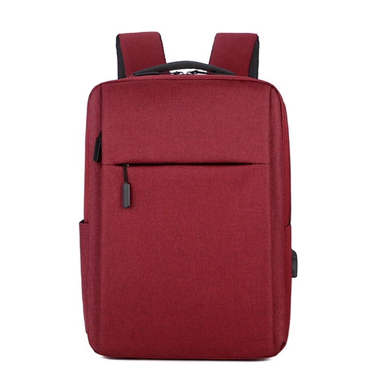 Laptop Backpack 1