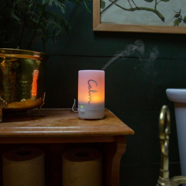 Electronic Diffuser 6