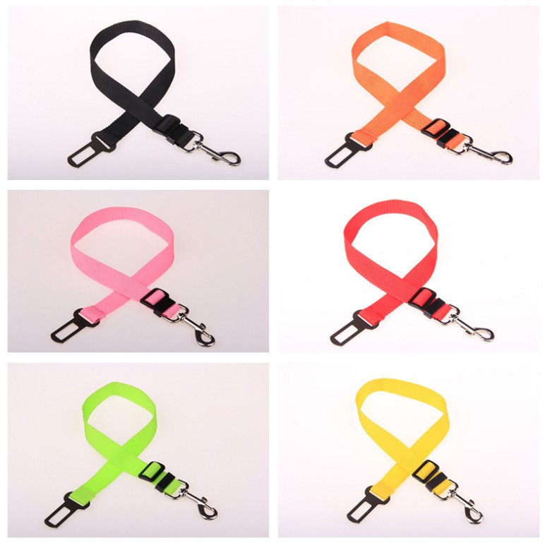 pet car leash 2