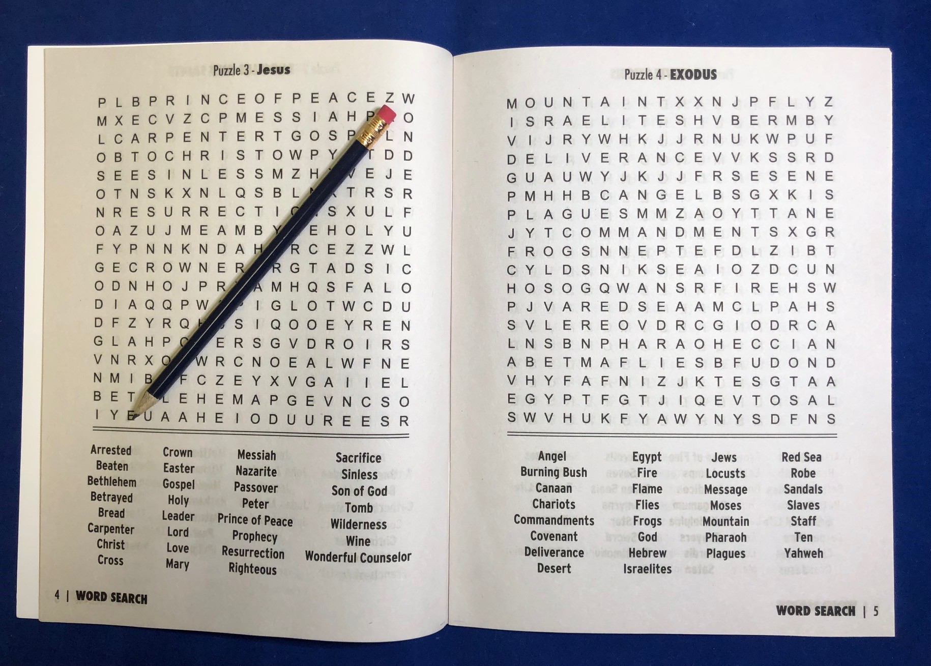 PUZZLE PACK - LARGE PRINT Biblical Word Search with Pencil 3
