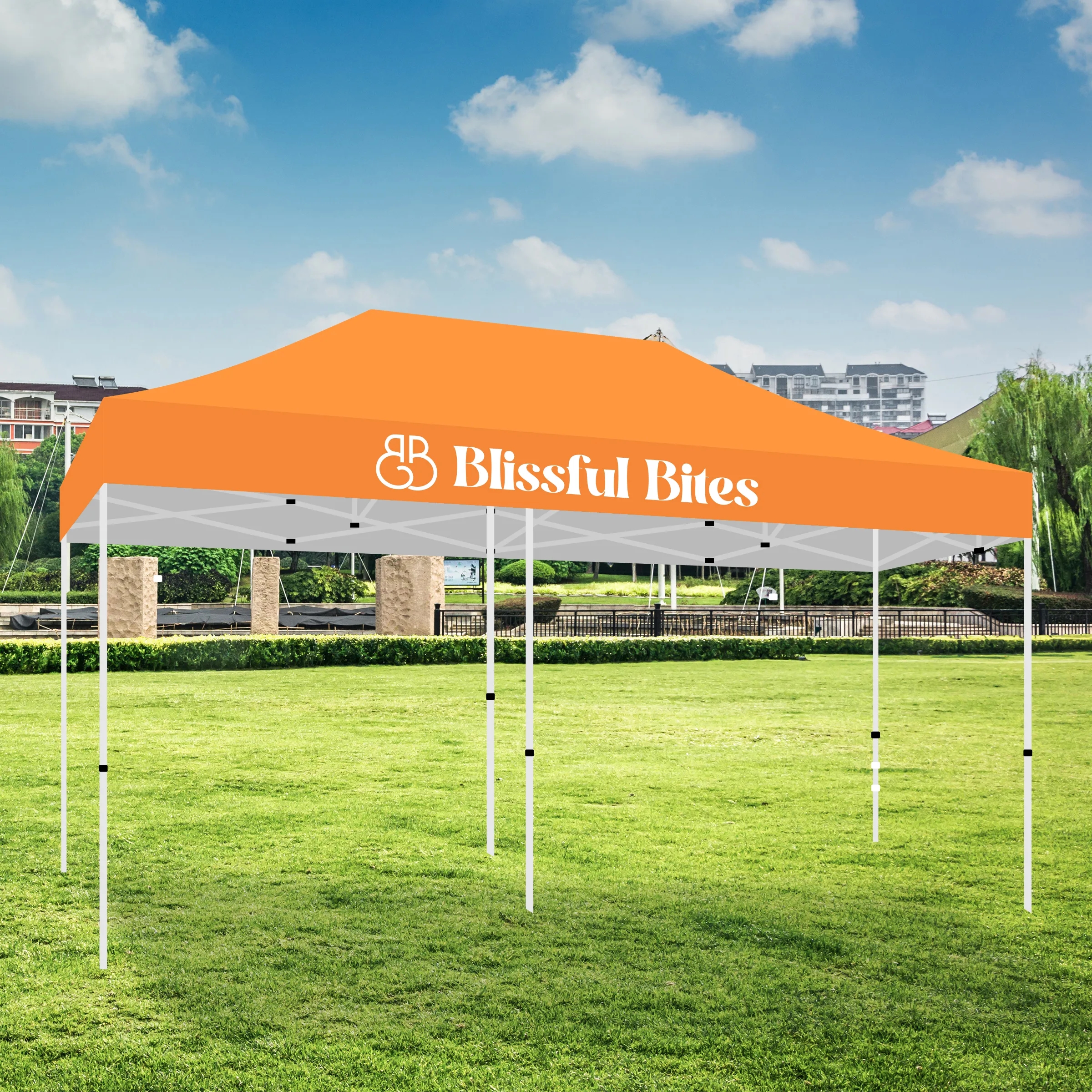10' X 20' Tent w/ Full Color Canopy 3