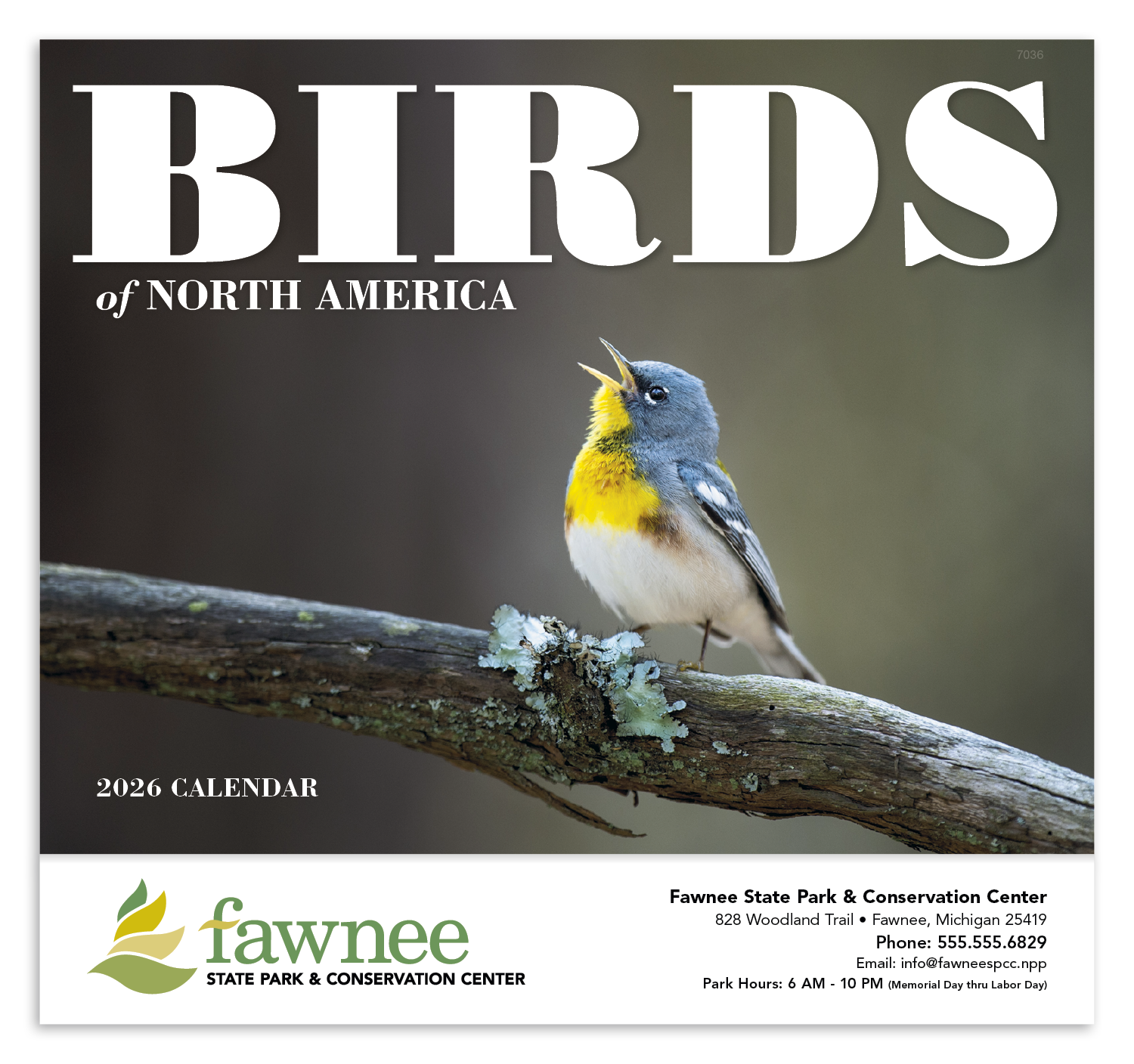 Good Value™ Birds of North America - Stapled Calendar 7
