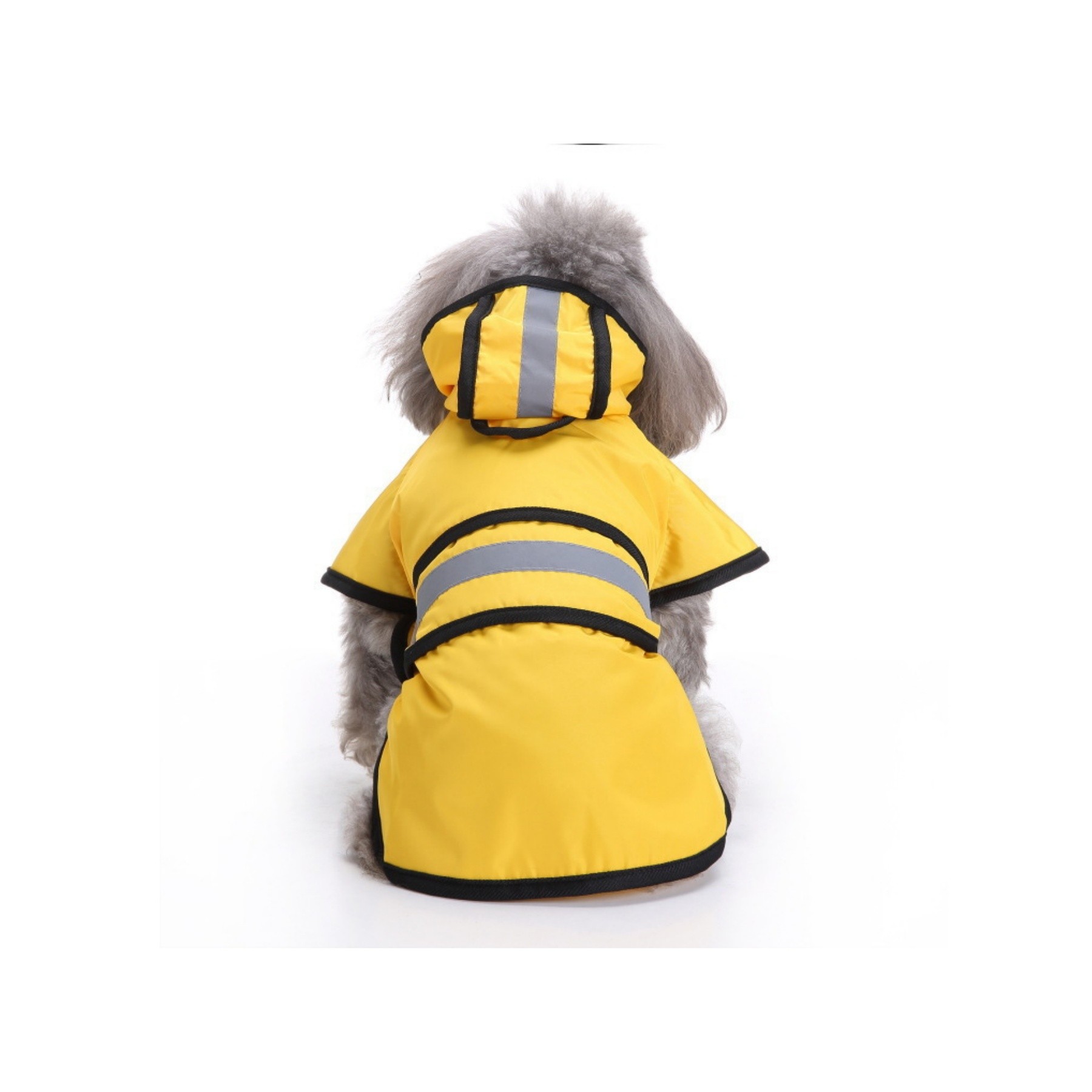 Dog Raincoat 3