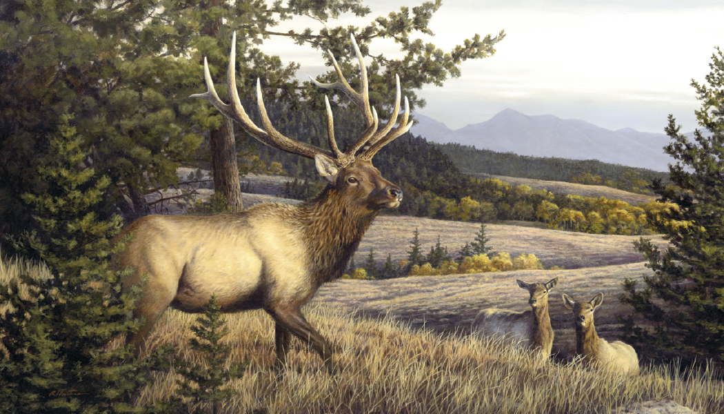 Triumph® Calendars Wildlife Art by the Hautman Brothers Calendar 17