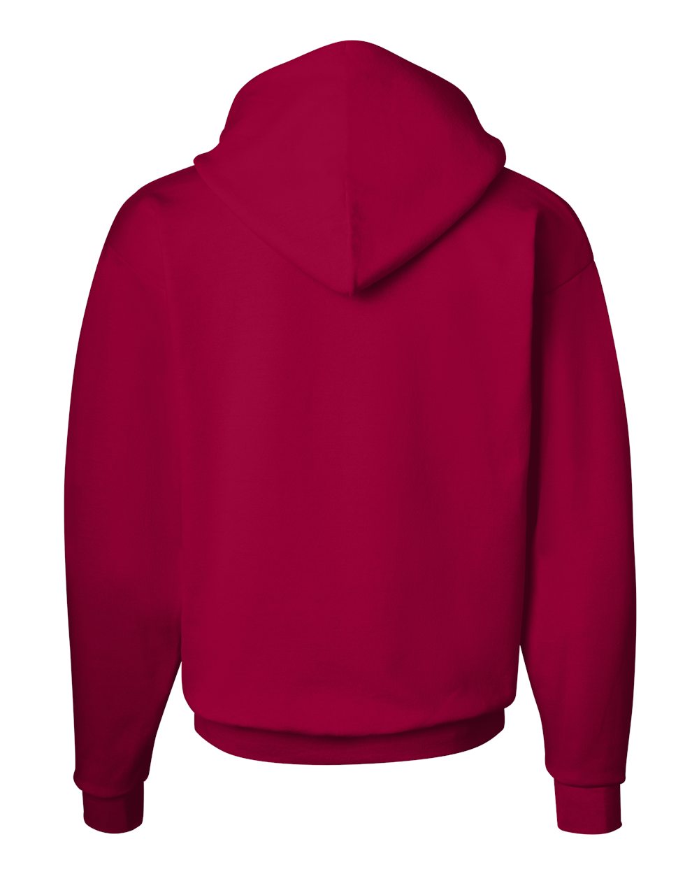 Unisex EcoSmart® Hooded Sweatshirt - P170 25
