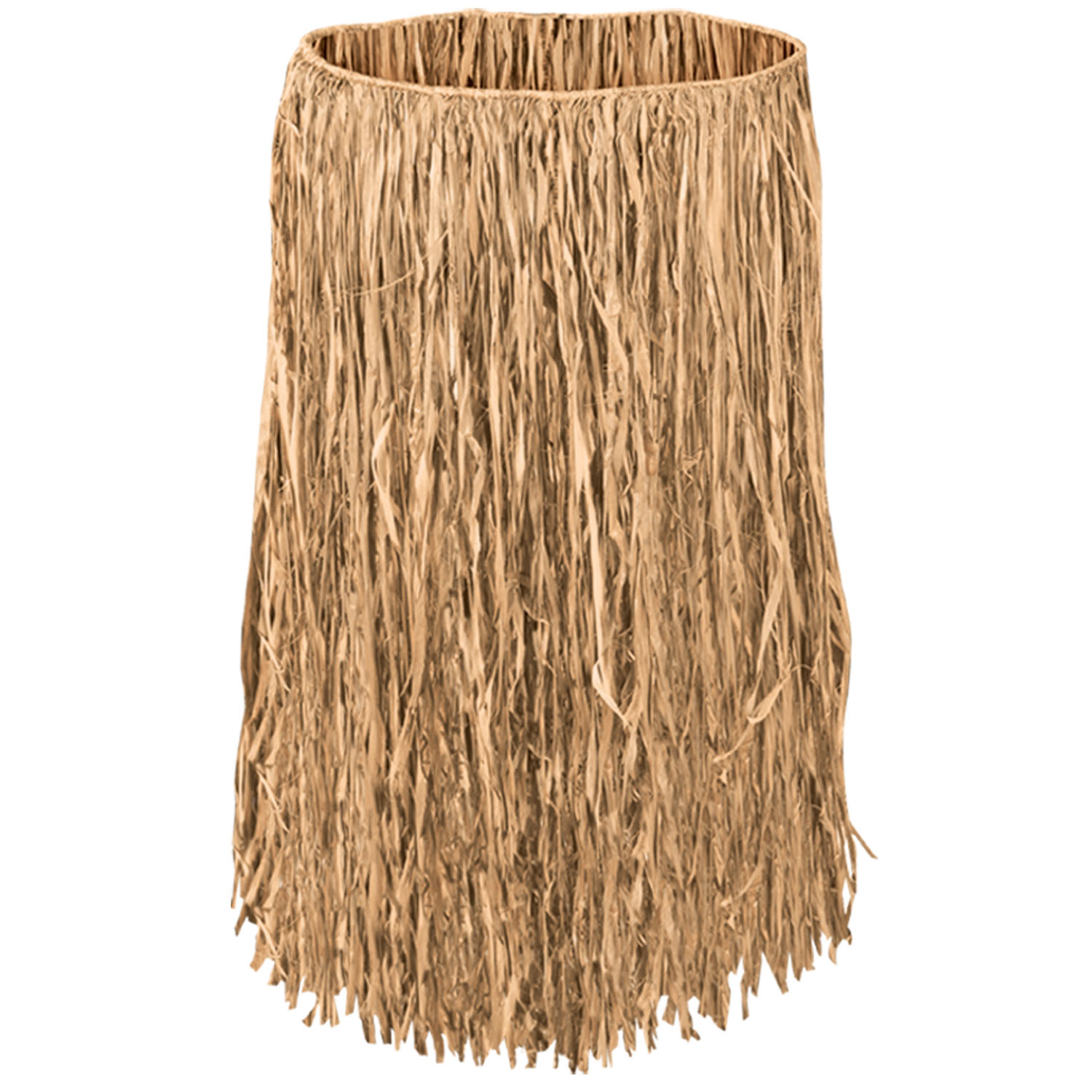Teen Value Raffia Hula Skirts 2