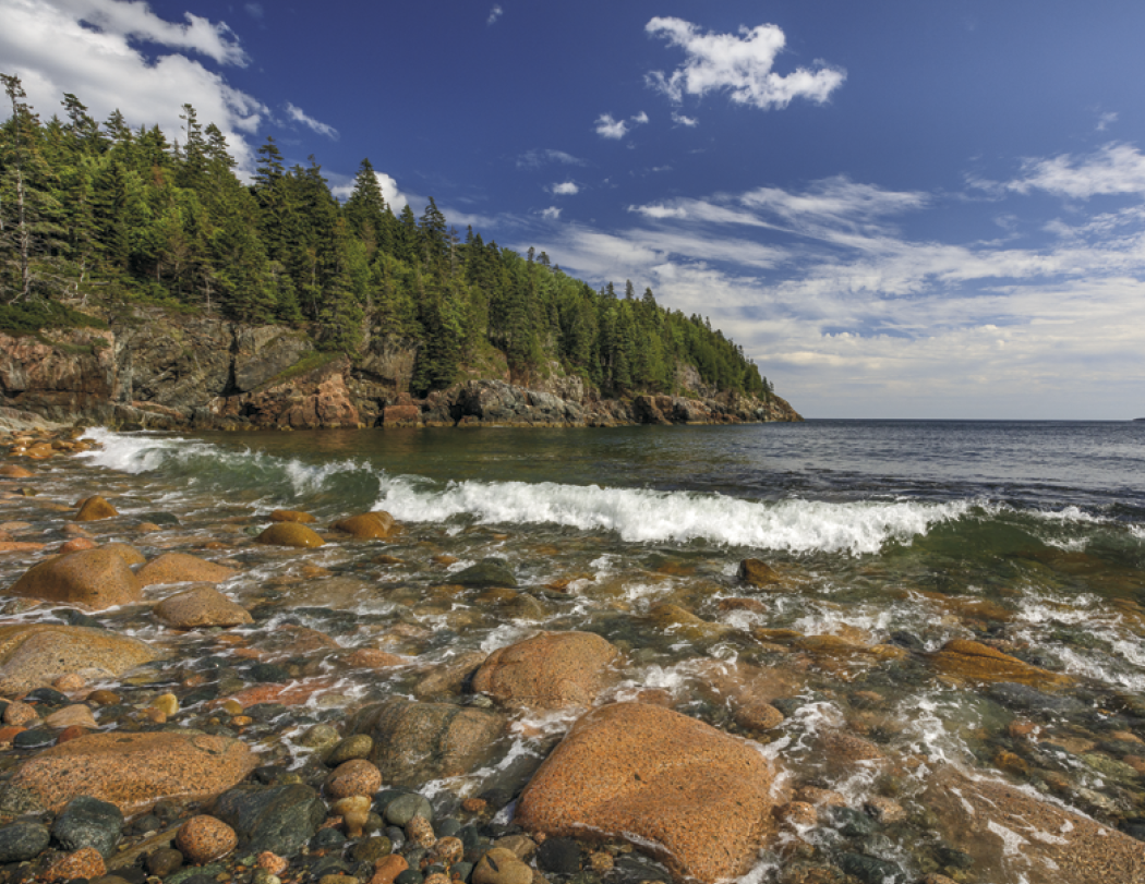 HotLine® Products Catholic Reflections Appointment Calendar - Stapled 42