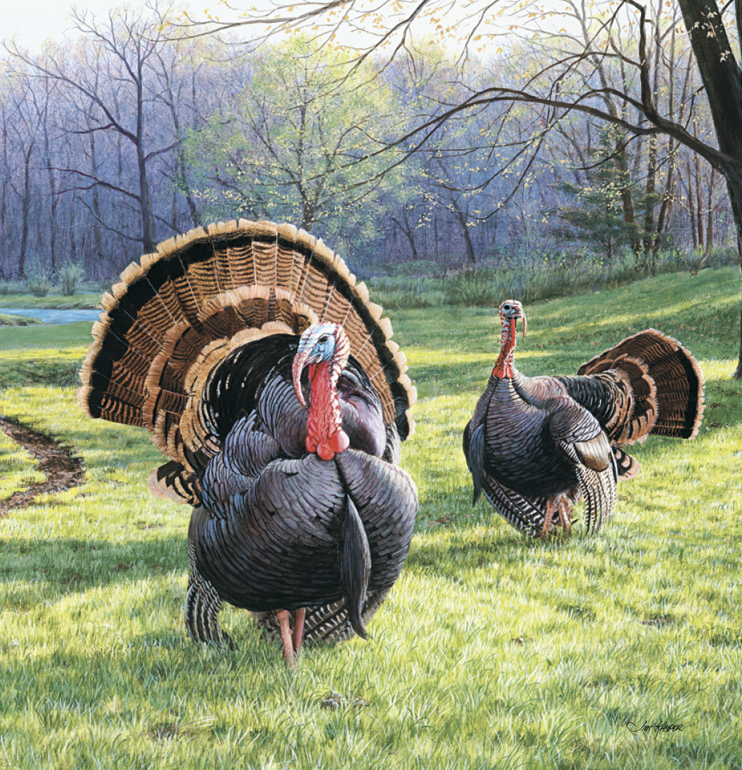 Triumph® Calendars Wildlife Art Calendar 53