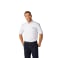 Men's SAMSON Oxford SS Shirt 30
